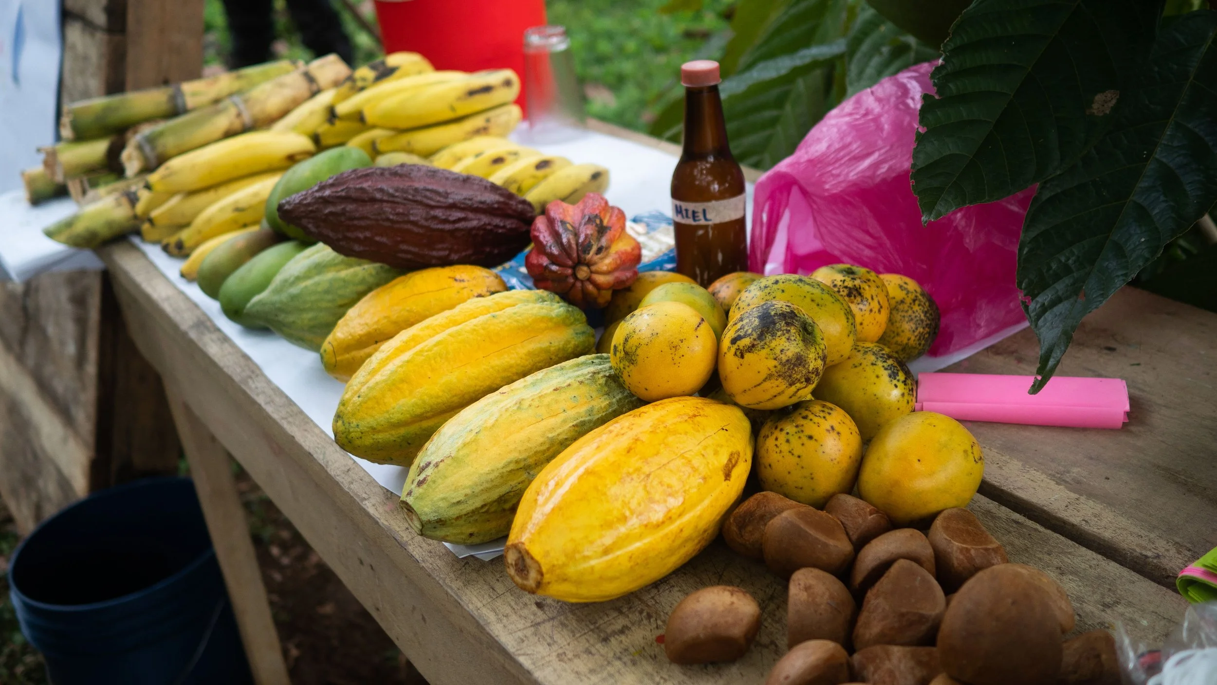 Table with cocoa pods, bananas, mangoes, and honey displayed at a farm.